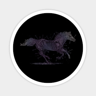 troubadours horse Magnet